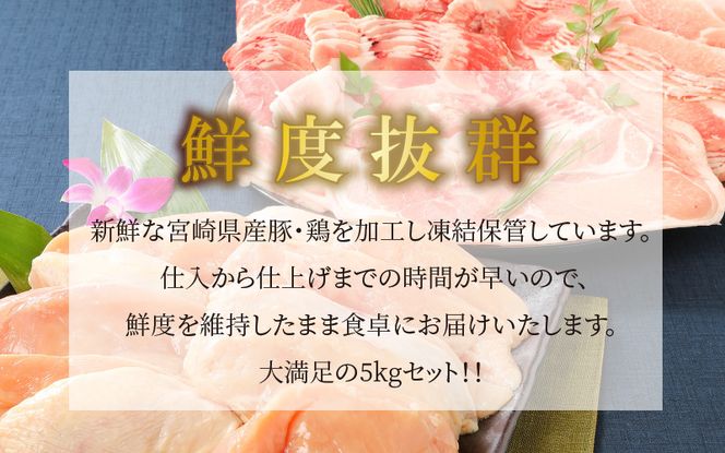 y{茧؏钬z{茧Y2sE{l3s@v5kgZbg K16_0015_10