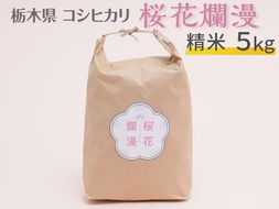 栃木県コシヒカリ 「桜花爛漫」 精米 5kg 【ご飯 お米 コメ コシヒカリ 白米 栃木県産 さくら市産】 ※北海道・沖縄・離島への配送不可 ※着日指定不可◇