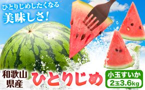 紀州和歌山産 小玉 スイカ 「ひとりじめ」 2玉 魚鶴商店《2025年6月上旬-6月下旬頃出荷》 和歌山県 日高町 スイカ スイーツ フルーツ すいか 果物 くだもの---wsh_uot39_6j6g_24_13000_2t---