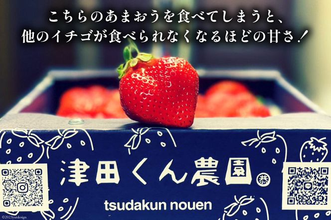 【期間限定発送】 いちご 津田くん農園のあまおう 約1kg [くしだ企画 福岡県 筑紫野市 21761180] 苺 あまおう イチゴ 福岡 期間限定