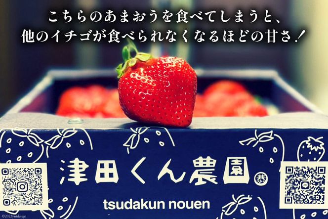 【期間限定発送】いちご 津田くん農園のあまおう 約1kg [くしだ企画 福岡県 筑紫野市 21760719] 苺 あまおう イチゴ 福岡 期間限定
