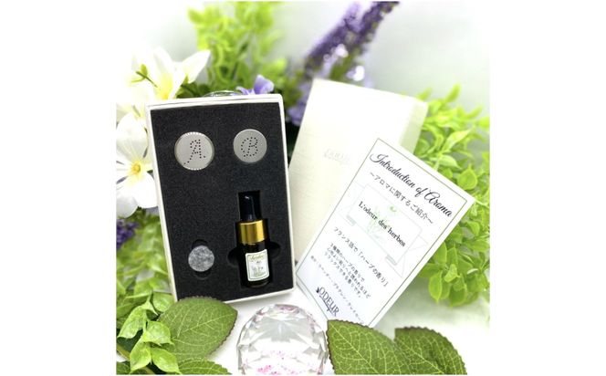 421.香るアロマピンズODEUR(オドゥール) (A421-1)