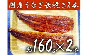 a15-034　カネト平田 うなぎ長焼き2本セット約160g×2