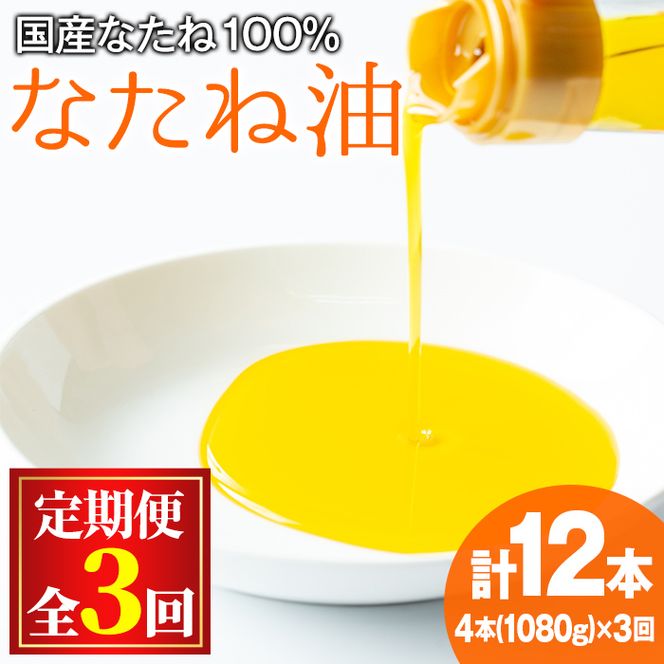 y̑Sǒzy0361301bzցES3(2)Y؎100gpIȐ؎(270g×4{×3)  IC i^l Ȃ˖ g VՂyRz