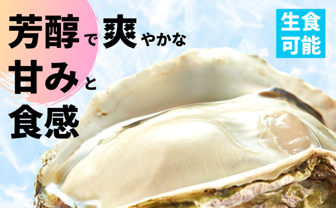 【のし付き】ブランドいわがき春香 新鮮クリーミーな高級岩牡蠣 殻付きSサイズ×１０個