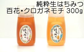 370.使いやすいポリ容器入り 非加熱生はちみつ 百花 クロガネモチ 各300g 計2本 純粋生はちみつ 食べ比べ