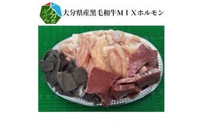 【A01080】大分県産黒毛和牛ＭＩＸホルモン約400g×2パック