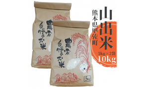 【新米先行受付】甲佐町産　山出米10kg（5kg×2袋） - 令和6年11月以降順次発送 新米 令和6年産 精米 お米 米 しっとり もちもち 甘み おにぎり ごはん 複数原料米 国産 九州産 熊本県 熊本県産 甲佐町【価格改定】