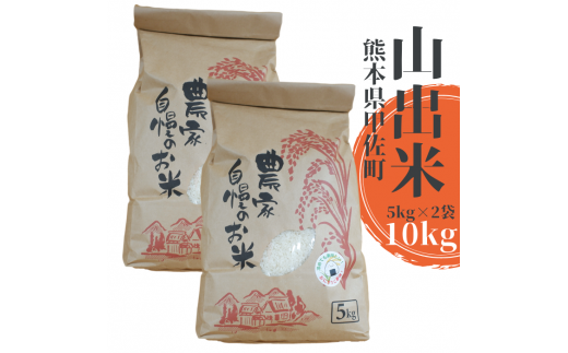 甲佐町産　山出米10kg（5kg×2袋）