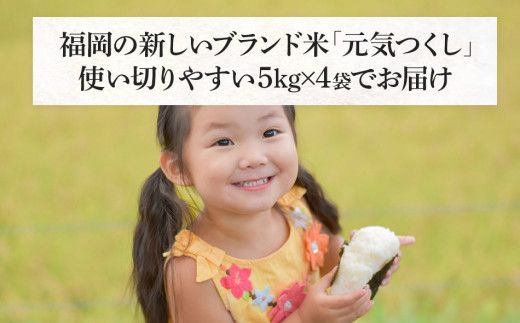 令和7年産　福岡県産ブランド米「元気つくし」白米20kg【11月上旬頃より順次出荷予定】