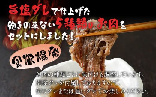 焼肉 5種食べ比べセット 2kg 400g×5パック 牛バラ ポークタン 鶏モモ 塩ホルモン 豚バラ 旨塩カルビタレ180ml×1本 カルビ スライス 塩だれ 旨塩 タレ漬け 味付け 鉄板焼き 野菜炒め BBQ お取り寄せ 福岡 お土産 九州 福岡土産 取り寄せ グルメ 福岡県 食品