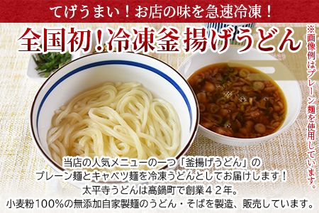 ＜太平寺うどんの釜揚げうどん プレーン麺（2人前）×キャベツ麺（2人前）セット＞翌月末迄に順次出荷【c963_th_x2】