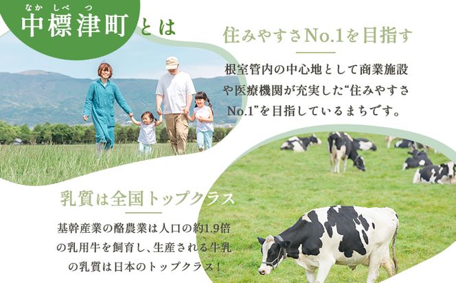 中標津町への応援寄附 30,000円(返礼品なし)【10006】