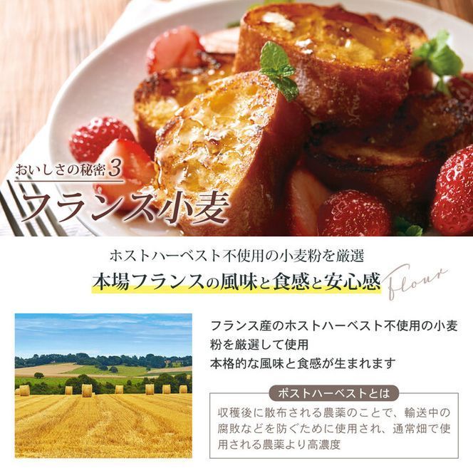 天然酵母 ハード系パン3種 お試しセット 《国産小麦 フランス産