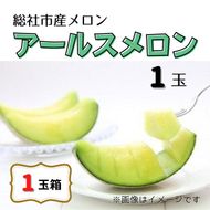 「アールスメロン（1玉）」岡山県総社市産【2025年産先行予約】25-016-001