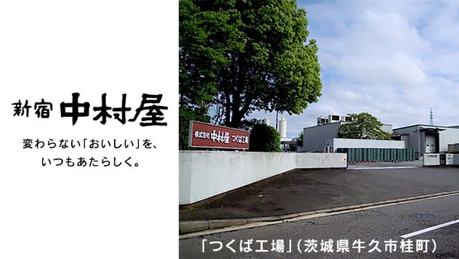 新宿 中村屋 インドカリー ビーフスパイシー 40個 人気 洋食 レトルト 時短 カレー インドカレー スパイシーカレー 長期保存 災害用 保存食 [DM011us] レンチン レンジ 