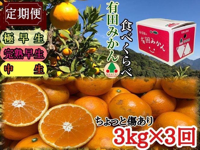 【定期便 全3回】有田みかん ちょっと傷あり 3kg × 3回 コース 食べくらべ 3種 南泰園      BS860