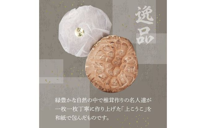 【F07020】大分県産椎茸　香菇　逸品　IP-B
