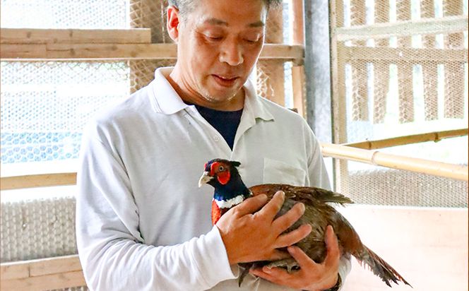 【きじ肉】きじ重４人前