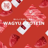 WAGYU PROTEIN 定期便 4回分《 牛肉 お肉 肉 高タンパク 赤身肉 うちもも肉 ローストビーフ ステーキ おすすめ ギフト 贈答 プレゼント 定期便 》【2415A11505】