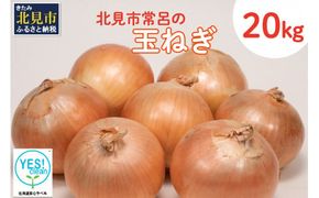 北海道安心ラベル「Yes!clean」認証！北見市常呂の玉ねぎ 20kg ( たまねぎ 野菜 期間限定 )【009-0001-2024】