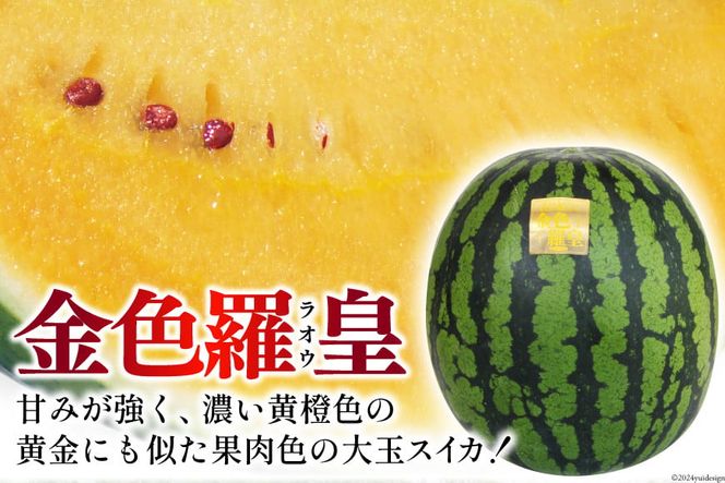 【CF01】BG075【令和8年度出荷分】幻のゴールデンスイカ！～金色羅皇（ラオウ）～（7～12kg） [先行予約 数量限定 すいか スイカ 西瓜 らおう 羅王 フルーツ 果物 長崎 長崎県 島原市]