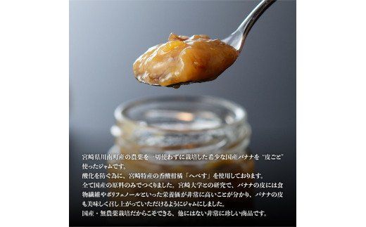 宮崎県産皮ごとバナナジャム（120g×6個入り）【F5808】