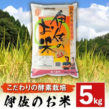 A0-30 伊佐のお米(5kg) 日本の米どころとして有名な伊佐の伊佐米ヒノヒカリ！美味しさを追求したこだわりの酵素栽培【猩々農園】