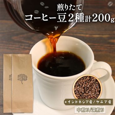 自家焙煎 コーヒー 豆 200g (インドネシア100g/深煎り、ケニア100g/中煎り) [moku008]