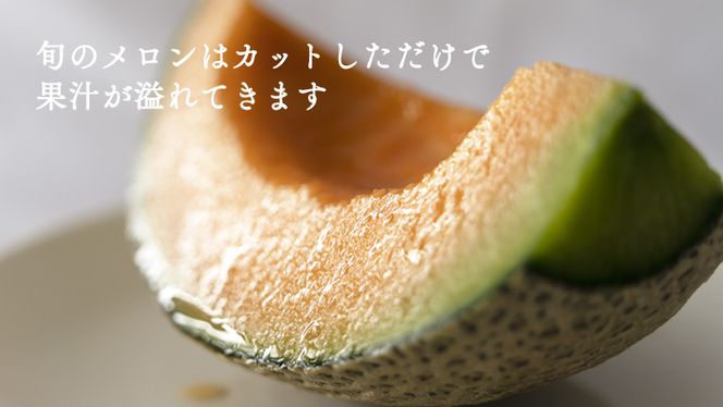 筑波レッドメロン 1箱 2玉 入り（約 3.5kg ～ 5kg ）【2026年6月上旬以降発送】  メロン レッド  赤肉 甘い 期間限定 産地直送 果物 フルーツ [BU001ya]