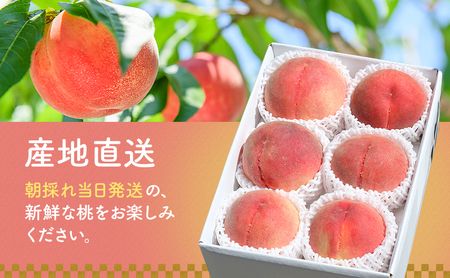 【2024年発送】大容量!山梨県産 旬の桃4kg以上 (2kgx2箱)ふるさと納税 先行予約 SWAB001