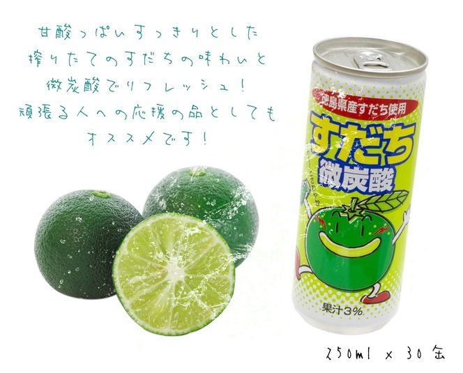 【CF】2ケースセット　すだち微炭酸　250ml×30本《30日以内に出荷予定(土日祝除く)》---sanagouchi_jat_13_60hn---