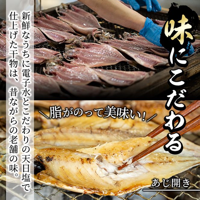 あくねの地サカナづくし(5種) 魚介類 きびなご キビナゴ 鯵 あじ アジ 鯖 サバ さば 鰯 いわし イワシ 干物 ひもの フライ 詰め合わせ セット【又間水産】a-10-50