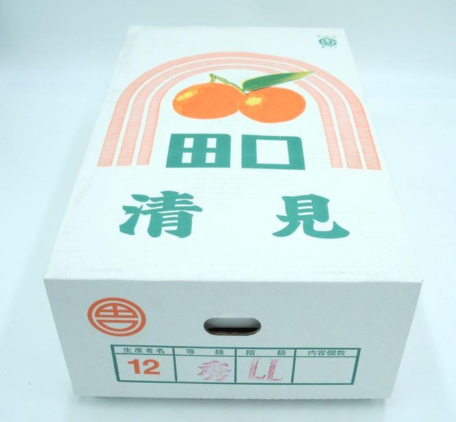 田口の清見オレンジ 秀品　5kg　L～３L（30玉～18玉）化粧箱入り サイズおまかせ【2025／2／26～2025／3／31 順次発送】DS001