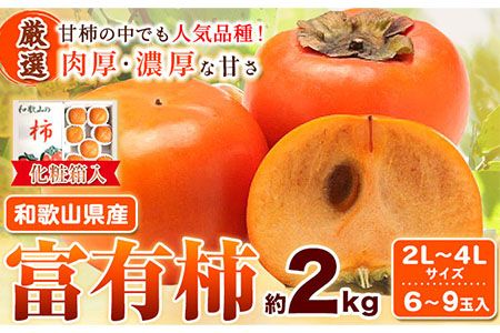 [厳選・産直]和歌山産の富有柿約2kg(化粧箱入り)(2L〜4Lサイズ) 厳選館[2024年11月上旬-12月下旬頃出荷]和歌山県 日高川町 富有柿 贈答用---wshg_tmt110_ab1112_23_11000_2kg---