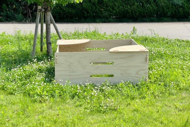 犬 ミニ ドッグラン 小型犬 持ち運び 折りたたみ 組立簡単 木製 ゲージ 犬 小型 ペット [MDF 石川県 宝達志水町 38600544] 