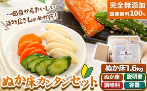 ぬか床カンタンセット (ぬか床 容器 調味料 セット) 樽の味 《90日以内に出荷予定(土日祝除く)》 和歌山県 日高川町 ぬか ぬかどこ ぬか漬け ぬか漬けセット ぬか床セット 容器 簡単 手作り 無添加---wshg_tna3_90d_23_9000_1600g---