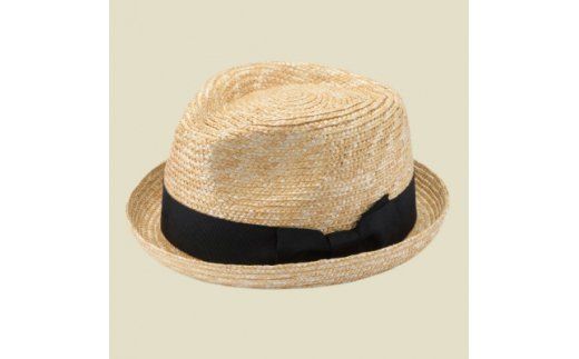 yʌtszAN048-1 ts`H|i cXqX@Xq@}N@59cm(UK-H127-NA)