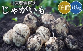 上原農場直送　じゃがいも（伯爵） 10kg【S～2Lサイズ混合】【6600301】