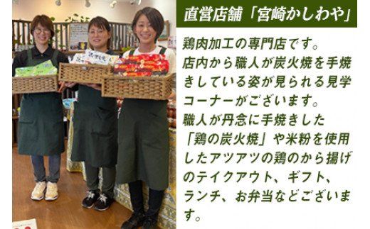 ＜半身からあげ5本セット(塩味×3本 スパイス味×2本)＞準備でき次第翌々月までに順次発送【a0032_hi】