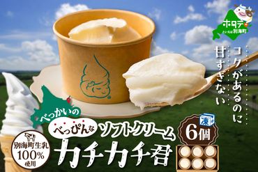 北海道 別海町産 生乳 100% で作った ソフトクリーム カチカチ君 6個 セット　GT0000001