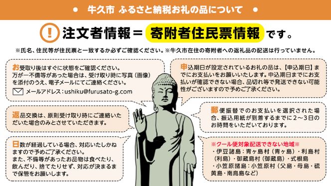 楽天市場】【ふるさと納税】 大容量 【名嘉眞製菓】 ちんすこう