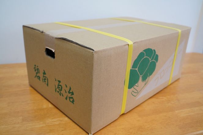 【収穫当日に発送します】豊かな大地“へきなん”から贈る ブロッコリー約11本【期間限定】 H139-022