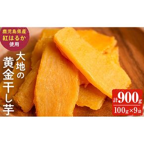 大地の黄金干し芋 計900g(100g×9袋) a1-076