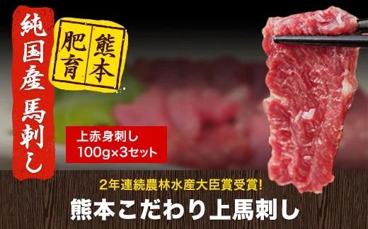 上赤身馬刺し100g×3セット(10ml×3袋)[7月中旬-9月末頃出荷]熊本県 玉名郡 玉東町 馬刺し 国産 赤身 送料無料 肉 タレ付き 300g 牛肉よりヘルシー---gkt_fkgakm_bc79_12000_300gt---