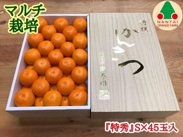 マルチ栽培 有田 みかん 化粧箱 特秀 S サイズ 45玉入 南泰園 BS666