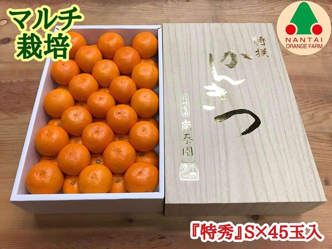 マルチ栽培 有田 みかん 化粧箱 特秀 S サイズ 45玉入 南泰園 BS666