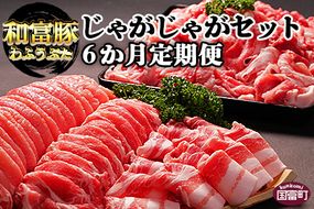 ＜6か月定期便 和富豚 じゃがじゃがセット 1.7kg＞翌月末迄に第一回目発送【b0315_em】
