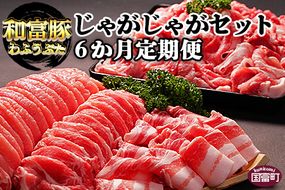 ＜6か月定期便 和富豚 じゃがじゃがセット 1.7kg＞翌月末迄に第一回目発送【a0315_em_x3】