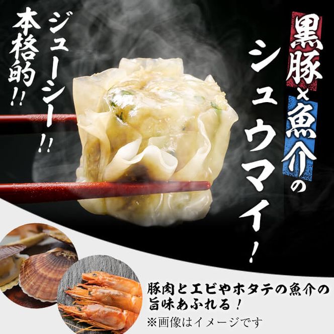 鹿児島県志布志産黒豚使用 南国熊曽黒豚五目シュウマイ 計60個(10個x6パック) a8-046